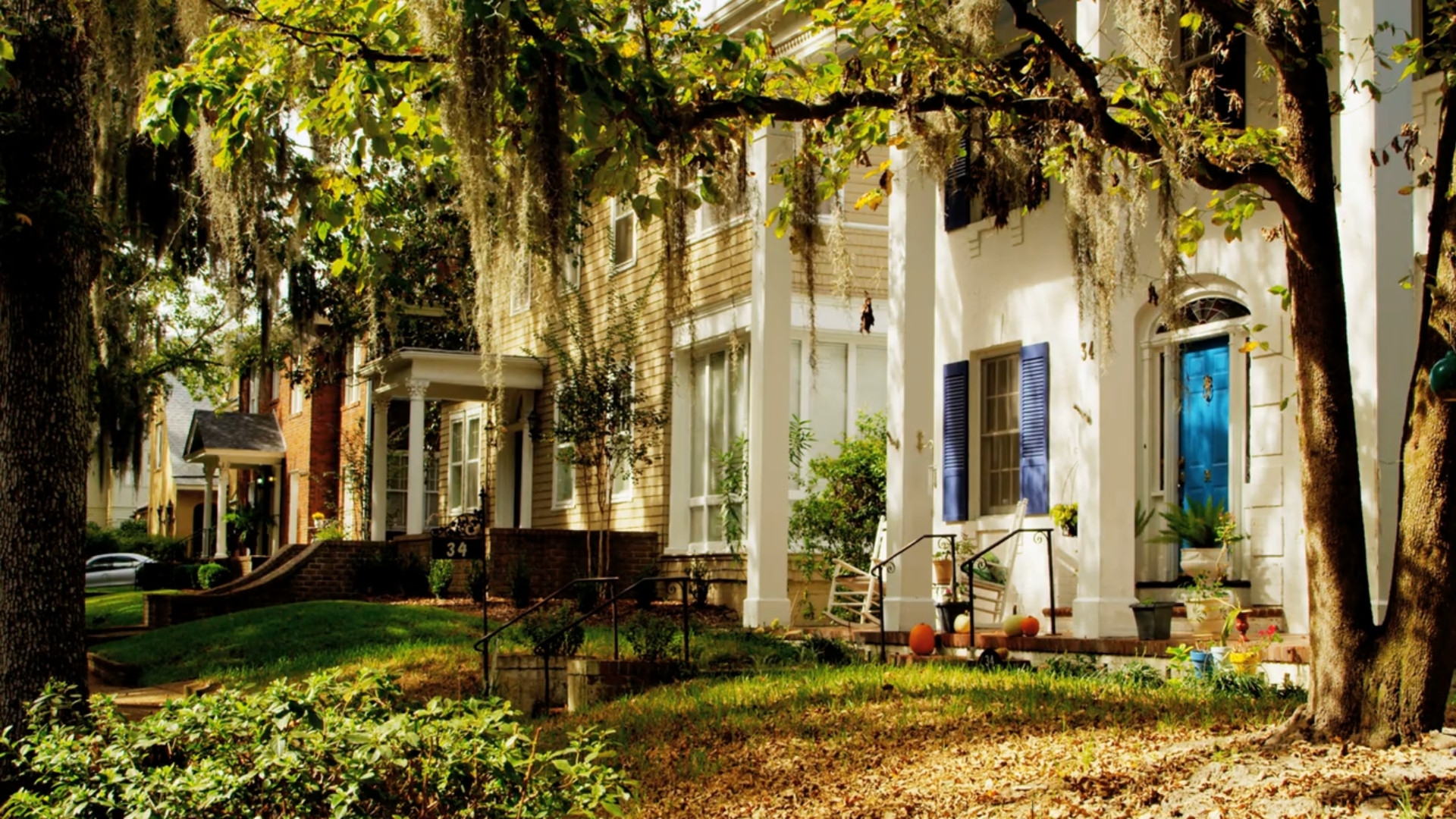 https://s3.amazonaws.com/nocnok/savannah-v1.jpg